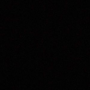 Meet your Posher, Daisy